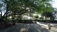 /album/proyecto-roma/a295870-2463450826669-236177606-n-jpg/