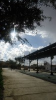 /album/proyecto-roma/a310974-2411991420216-726626119-n-jpg/